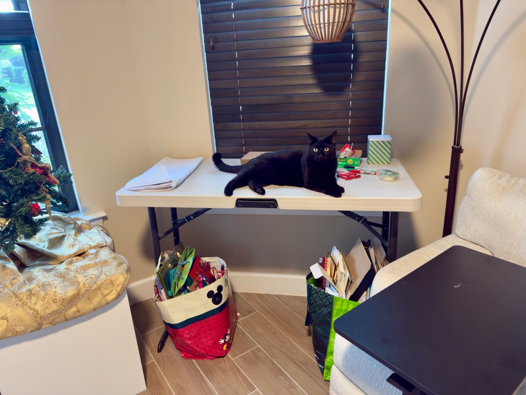 Get Ahead of the Holiday Rush: Set Up Your Wrapping Station&nbsp;Now!